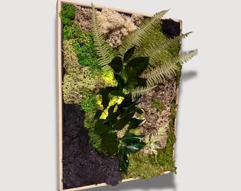 Cadre végétal stabilisé forêt naturelle – mousse, écorce et feuillage vert profond – Déco d'intérieur murale zen et naturelle
