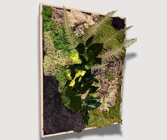 Cadre végétal stabilisé forêt naturelle – mousse, écorce et feuillage vert profond – Déco d'intérieur murale zen et naturelle