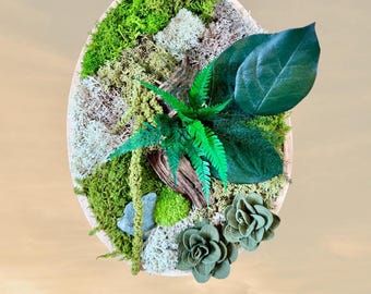 Cadre végétal stabilisé ovale – Mousse naturelle, bois flotté et feuillage – Décoration murale artisanale en relief- Unique