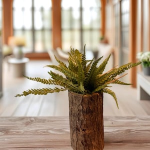 Composition fougère stabilisée en pot naturel – Décoration végétale zen – Mini plante sans entretien – Déco nature japandi