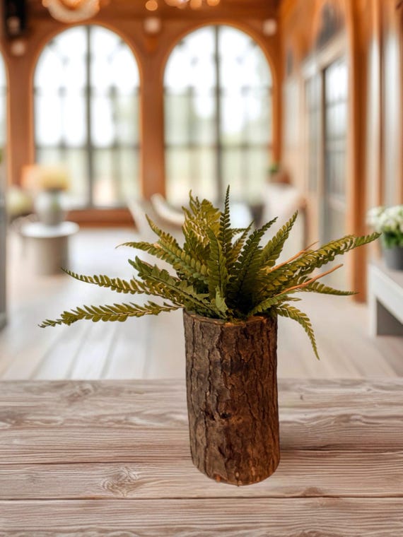 Composition fougère stabilisée en pot naturel – Décoration végétale zen – Mini plante sans entretien – Déco nature japandi