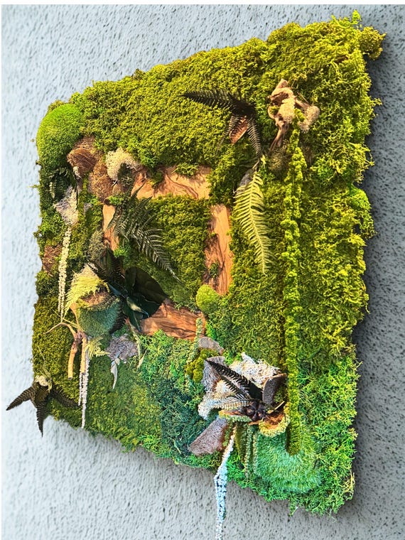 Cadre végétal en mousse stabilisée 100% naturelle- carré- Décoration d'intérieur artisanale- Pièce unique