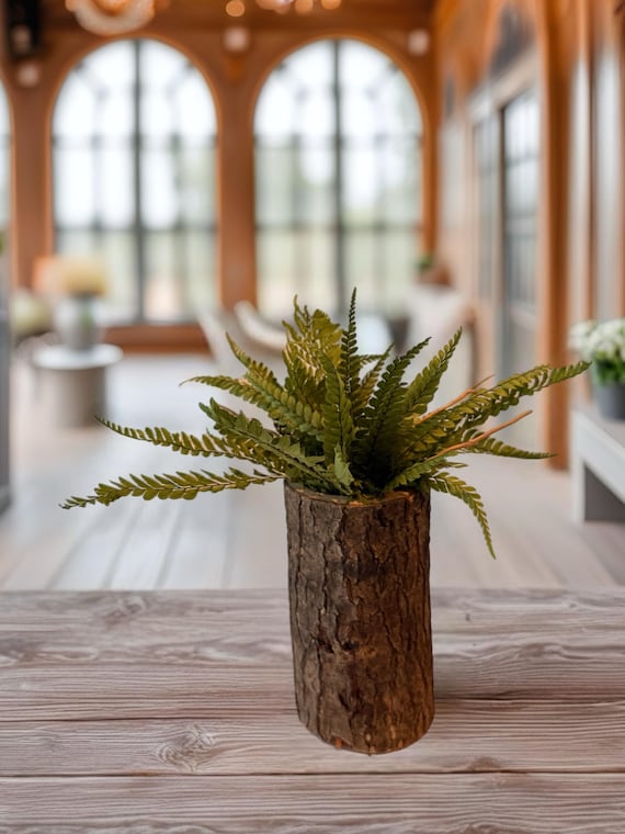 Composition fougère stabilisée en pot naturel – Décoration végétale zen – Mini plante sans entretien – Déco nature japandi