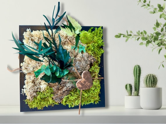 Cadre végétal stabilisé – Mousse verte, feuillage naturel et bois flotté – Déco murale artisanale – Idée cadeau nature- « Forêt enlacée »