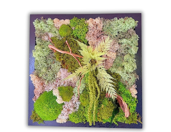 Cadre végétal forêt enchantée – Mousse stabilisée & feuillage naturel encadré carré bois noir – Déco d'intérieur murale zen et naturelle