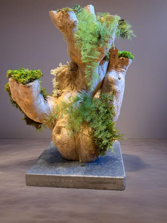 Bois flotté lumineux & mousse stabilisée – Sculpture végétale naturelle – Centre de table zen – Décoration nature sans entretien – Pièce uni