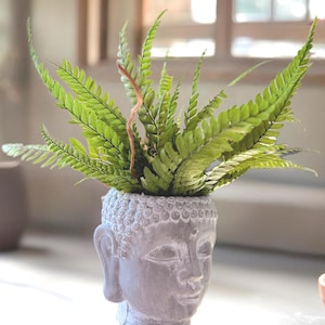 Vaso per piante con Buddha | Decorazione Zen naturale con felce e legno di mare | Centrotavola naturale | Pezzo unico | Arredamento Zen per la casa