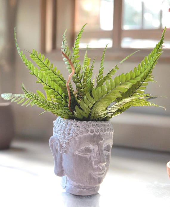 Cache-pot bouddha végétal | Décoration zen naturelle avec fougère & bois flotté | Centre de table nature | Pièce unique | Zen home decor