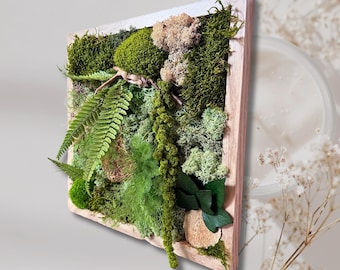 Cadre végétal stabilisé avec mousse et fougères | Décoration murale naturelle artisanale | Tableau de verdure en bois fait main