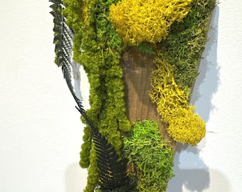 Natural plant frame