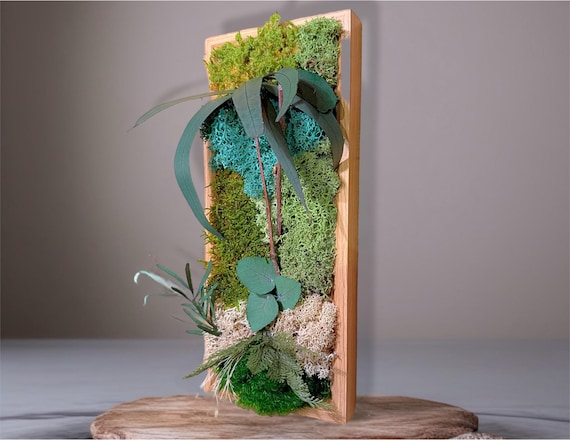 Cadre végétal stabilisé en bois – Décoration murale naturelle vert et bleu –Art mural naturel sans entretien- Création artisanale