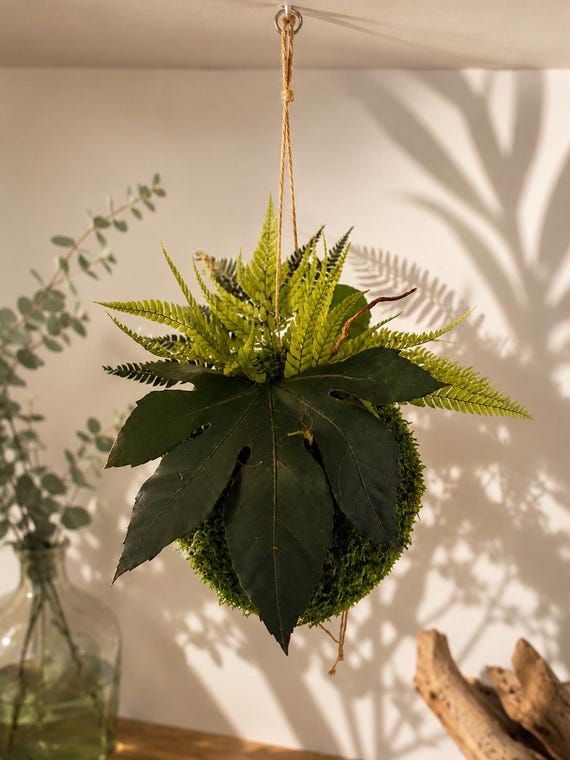 Kokedama suspendu en végétaux stabilisés – sphere naturelle 20cm  – Décoration zen bohème – Suspension végétale artisanale