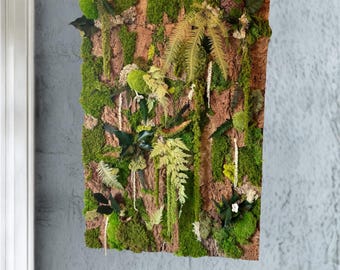 Cadre végétal mural en mousse stabilisée et écorce véritable – Décoration d'intérieur artisanale – Tableau végétal forêt tropicale – unique