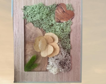 Zen plant frame in light wood and sage green – Natural composition with moss and stabilized flowers