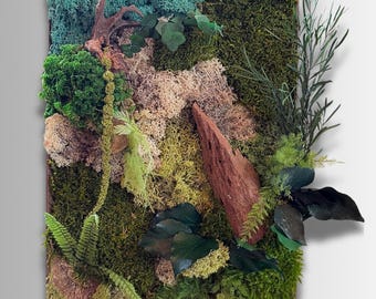 Cadre végétal en mousse naturelle stabilisée – tableau mural déco nature zen – « forêt exotique » Art végétal unique- Cadeau déco