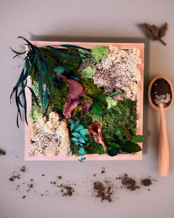 Cadre végétal stabilisé – Mousse naturelle, bois flotté et feuillage – Décoration murale artisanale en relief- Unique