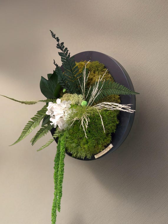 Cadre végétal rond– Mousse et feuillages stabilisés– Mur végétal design noir et vert – Décoration murale naturelle– Naturencadre
