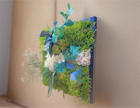 Cadre végétal stabilisé avec mousse, eucalyptus et jasmin naturel – Décoration murale naturelle artisanale – Tableau végétal fait main