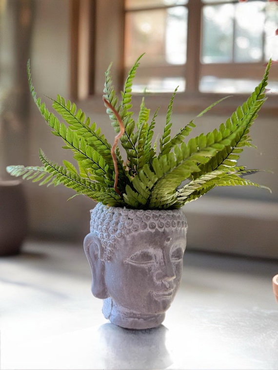 Cache-pot bouddha végétal | Décoration zen naturelle avec fougère & bois flotté | Centre de table nature | Pièce unique | Zen home decor