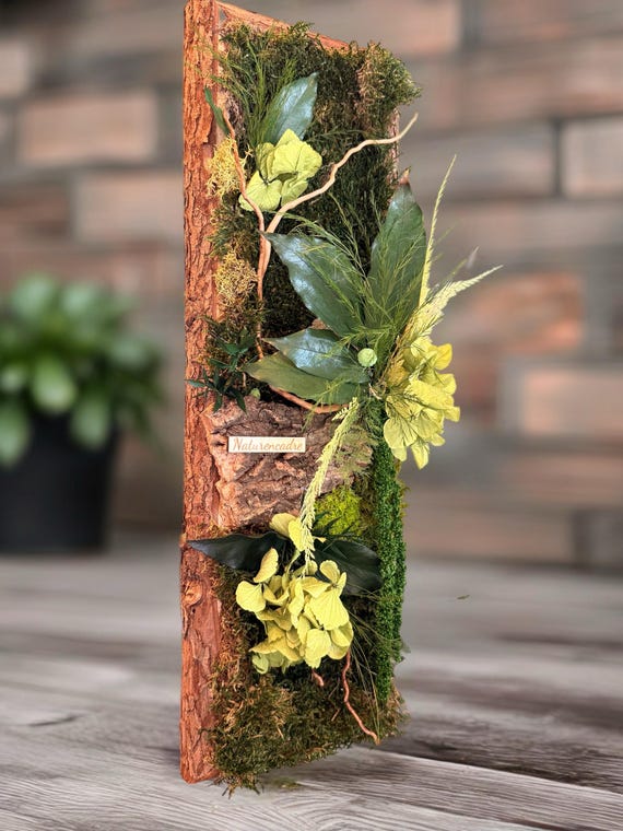 Cadre végétal stabilisé vertical– Mousse naturelle et bois flotté – Cadre en écorce – Décoration murale nature