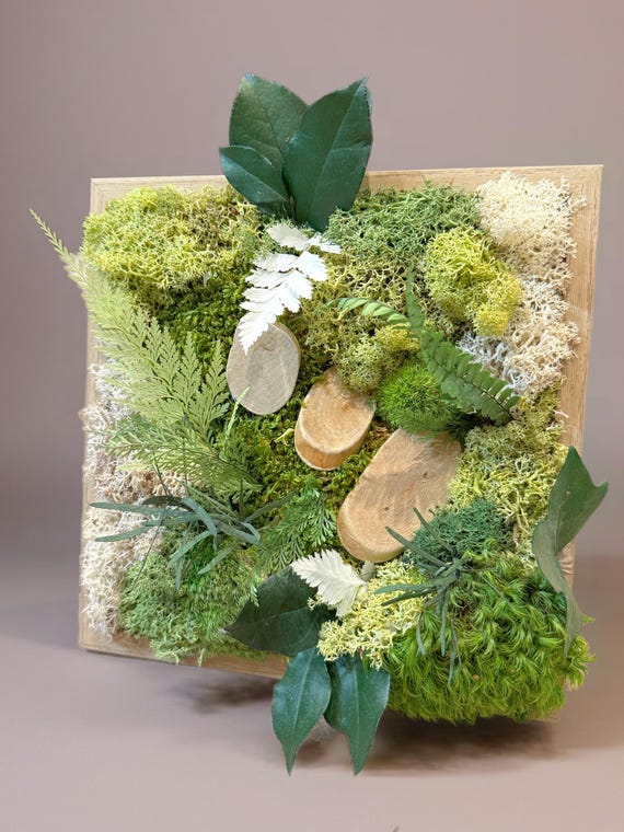 Cadre végétal stabilisé – Chemin en bois – Déco murale naturelle, forêt miniature, mousse et feuilles – Fait main – Sans entretien
