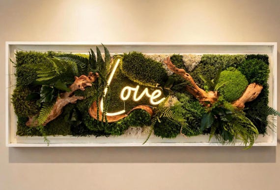 Cadre végétal 100 cm avec néon LOVE– Art mural naturel luxe– Décoration murale moderne bois flotté– Tableau mousse stabilisée