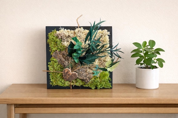 Cadre végétal stabilisé – Mousse verte, feuillage naturel et bois flotté – Déco murale artisanale – Idée cadeau nature- « Forêt enlacée »