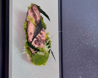 Decorative olive root with stabilized plants – Hanging plant art – Unique 100% natural piece