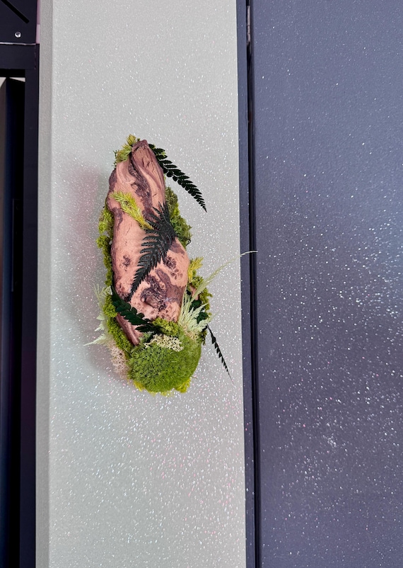 Racine d’olivier décorative avec végétaux stabilisés – Art végétal à accrocher – Pièce unique 100 % naturelle