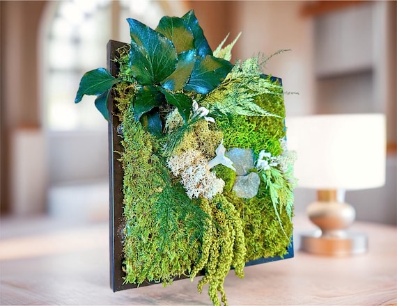 Cadre végétal stabilisé en mousse avec pierre naturelle et jasmin – Décoration murale zen et nature-  Art végétal unique artisanale