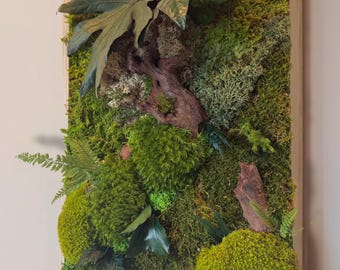 Cadre végétal en mousse stabilisée – Décoration murale naturelle artisanale – Tableau design verdure- Art mural vegetal