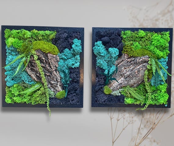 Duo de cadres végétaux stabilisés – tableau mural en mousse et écorce – décoration naturelle artisanale en bois – lot de 2