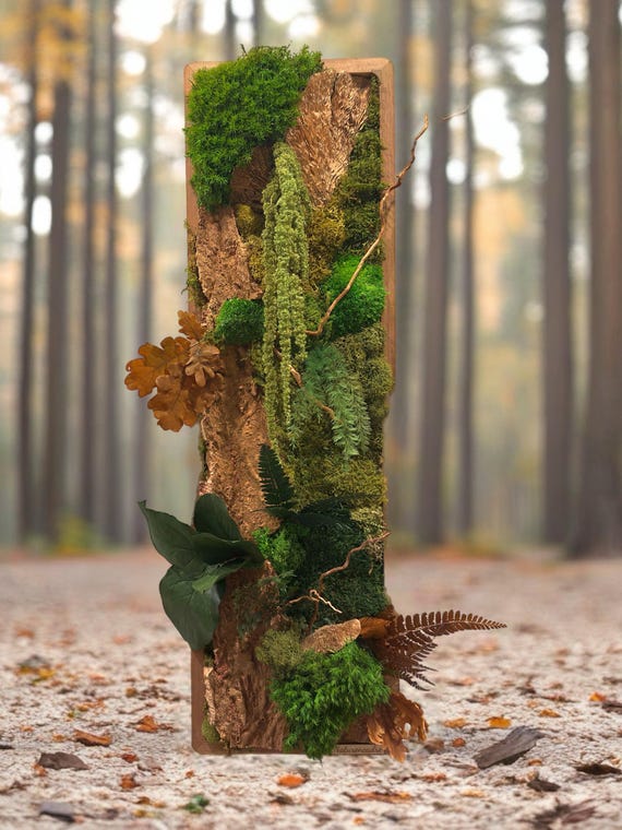Cadre végétal stabilisé vertical 75×23 – mousse, écorce & feuillages naturels | Décoration murale nature artisanale – Naturencadre
