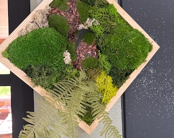 Natural plant frame