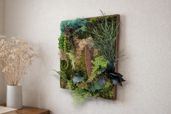 Tableau végétal en mousse naturelle stabilisée – tableau mural déco nature zen – « forêt exotique » Art végétal unique- Cadeau déco