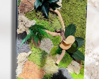 Cadre végétal stabilisé à poser ou accrocher – Mousse naturelle, bois, feuillage et fleur – fait main – Pièce unique- « la lisière »