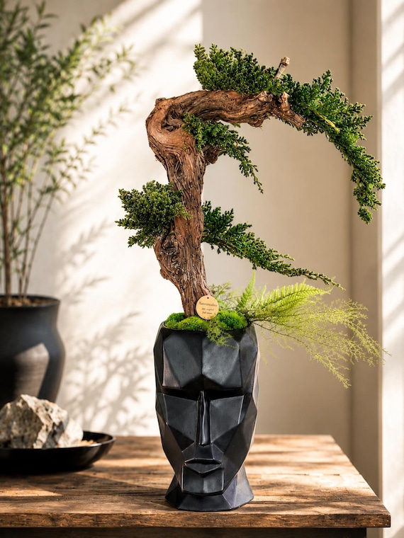 Bonsaï Stabilisé Design Japonais – Art Végétal Zen dans Pot Visage Noir – Décoration Japandi Haut de Gamme – Pièce Unique