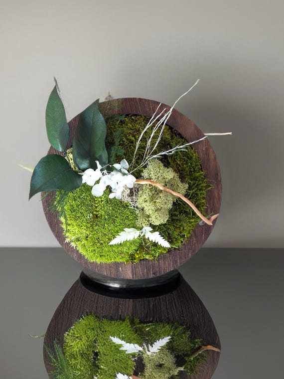 Cadre végétal rond– Mousse stabilisée et feuillage naturel – Décoration murale ou à poser