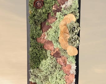 Cadre végétal mural – Chemin en écorce & mousse stabilisée – Art mural naturel fait main – Déco murale zen et poétique