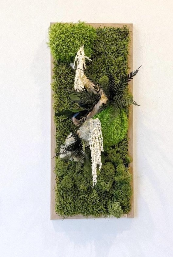 Cadre végétal stabilisé mural– Tableau végétal naturel en mousse et feuillages– Décoration murale végétale sans entretien