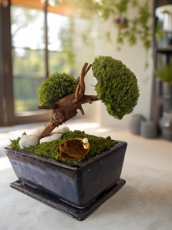 Bonsaï stabilisé miniature japonais – Décoration zen naturelle – Mini arbre végétal éternel – Art végétal fait main – Cadeau déco apaisant