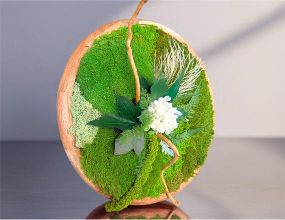 Cadre végétal rond en mousse et feuillage stabilisé en bois 50cm– Décoration murale naturelle  – Art floral fait main
