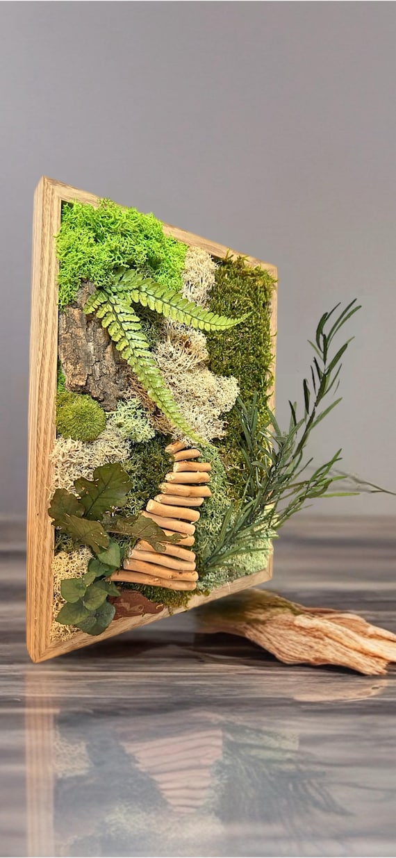 Cadre végétal mural en mousse et feuillage stabilisé – Décoration murale naturelle artisanale – Cadeau unique naturel