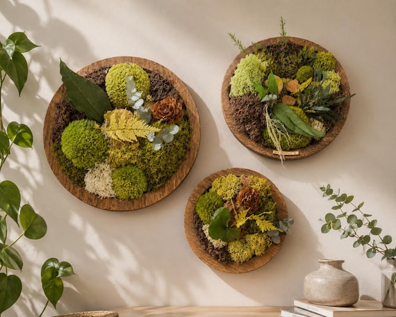 Triptique cadres végétaux stabilisés rond – Bois naturel | Décoration murale artisanale unique