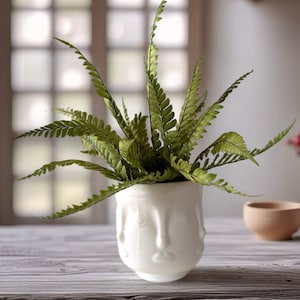 Pot visage design abstrait avec fougère stabllisée- Décoration minimaliste chic- Plantes sans entretien- cadeau original
