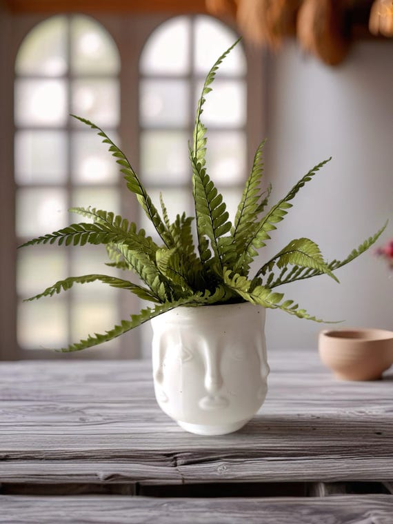 Pot visage design abstrait avec fougère stabllisée- Décoration minimaliste chic- Plantes sans entretien- cadeau original