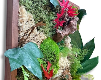 Tableau végétal stabilisé en mousse stabilisée – Tableau mural nature zen - Décoration murale végétale – Art végétal naturel fait main