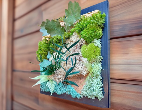 Cadre végétal stabilisé en mousse & feuillages préservés  | Décoration murale nature artisanale | Tableau de verdure design noir