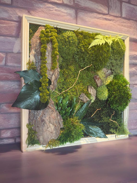 Cadre végétal stabilisé 40x40 cm– Décoration murale naturelle avec mousse, écorce et feuillage – Tableau végétal haut de gamme – Style forêt