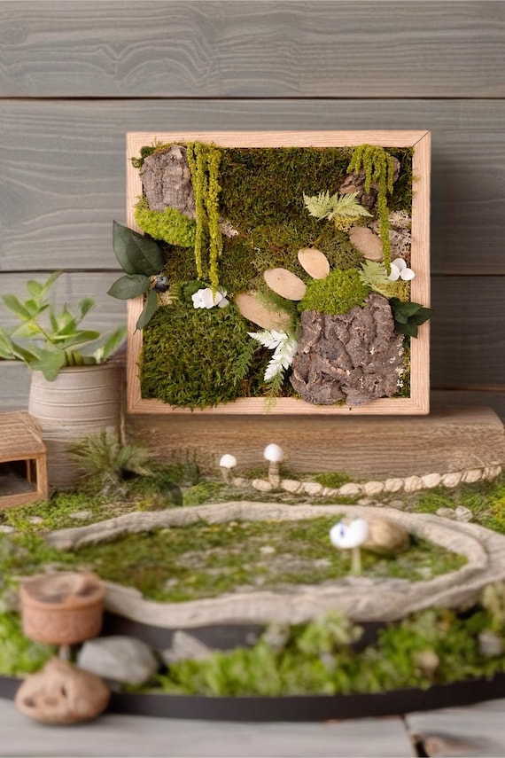 Cadre végétal stabilisé– Décoration murale naturelle– Mousse et écorce– Tableau végétal sans entretien
